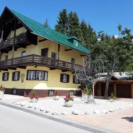 Haus Geiger Daire Seefeld in Tirol Dış mekan fotoğraf